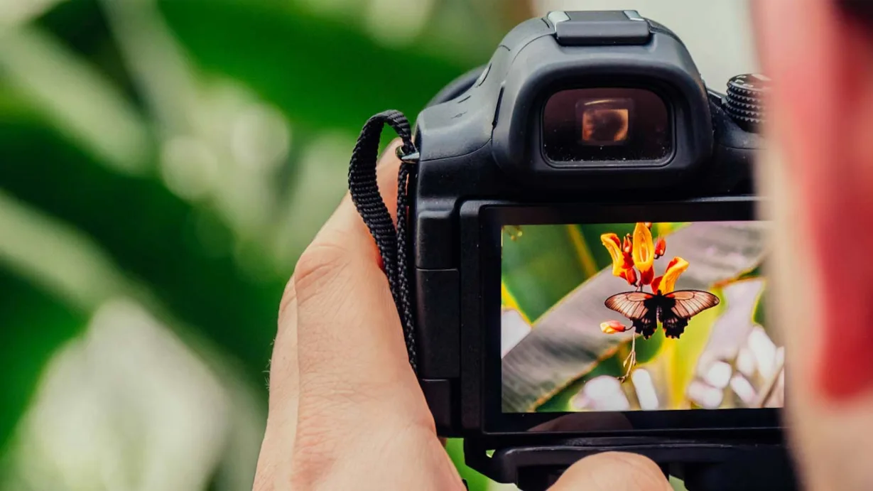 Optimise WordPress Images