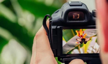 Optimise WordPress Images