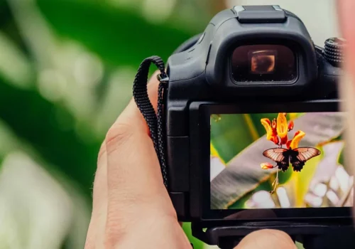 Optimise WordPress Images